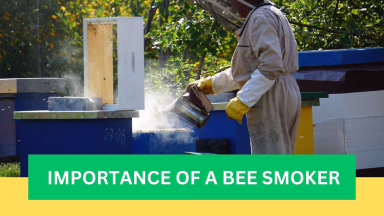 Importance of a bee smoker in Kenya
